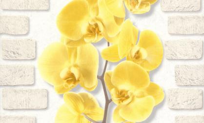 Обои 10107-23 Орхидея производства Аспект Ру - фото