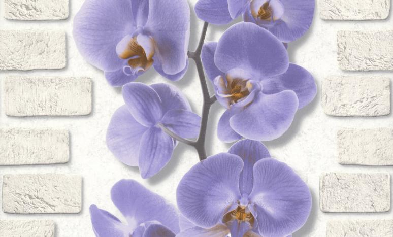 Обои 10107-46 Орхидея производства Аспект Ру - фото