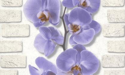 Обои 10107-46 Орхидея производства Аспект Ру - фото