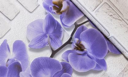 Обои 10107-46 Орхидея производства Аспект Ру - фото