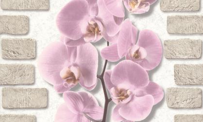 Обои 10107-85 Орхидея производства Аспект Ру - фото