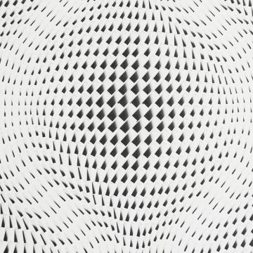 Обои 60302-12 Phantom производства Erismann - фото