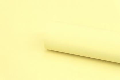 Обои 60442-08 Papaya производства Erismann - фото