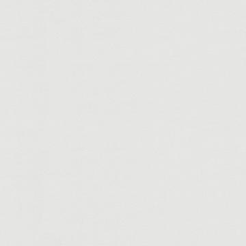 Обои 71822-14НС Monochrome производства Палитра - фото