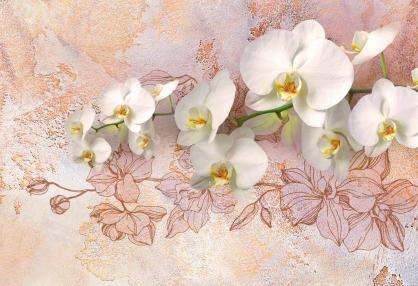 Нежная орхидея производства Тула - фото