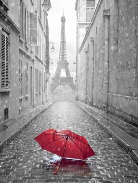 Парижский дождь VIP производства Тула VIP - фото