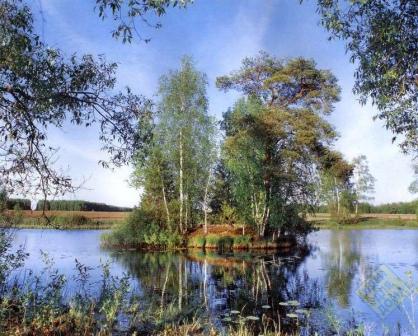 Тихая заводь производства Тула - фото