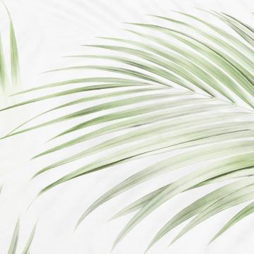 Обои 71973-17НС Tropical Shades производства Палитра - фото