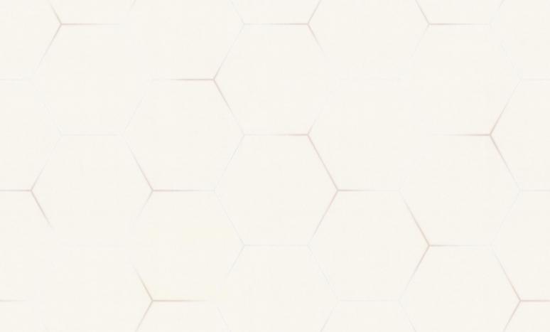 Обои 72088-21TC Гексагон топ вельвет производства Палитра - фото