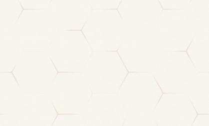 Обои 72088-21TC Гексагон топ вельвет производства Палитра - фото