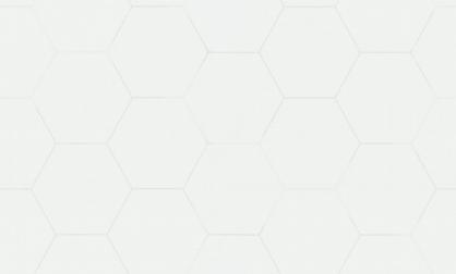 Обои 72088-44TC Гексагон топ вельвет производства Палитра - фото