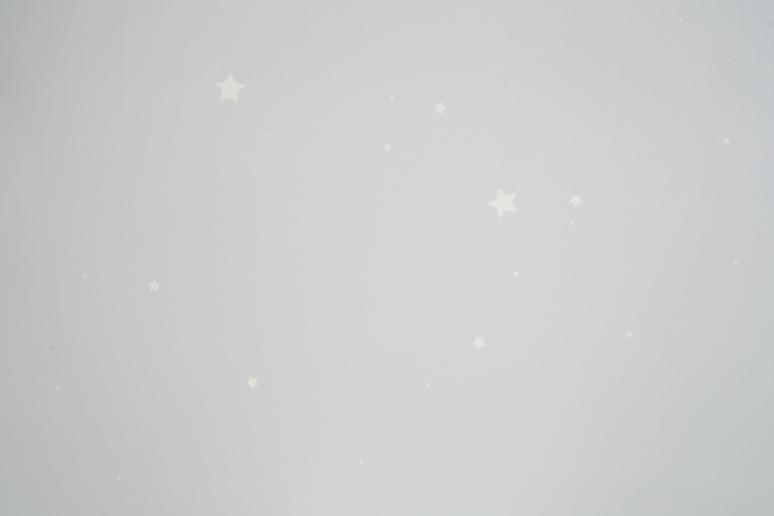 Обои 72162-14НС Мечта производства Палитра - фото