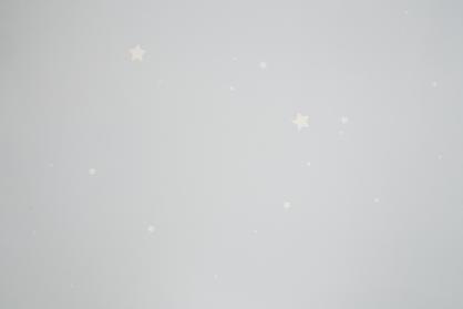 Обои 72162-14НС Мечта производства Палитра - фото