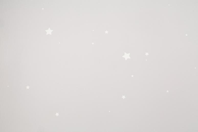 Обои 72162-42НС Мечта производства Палитра - фото