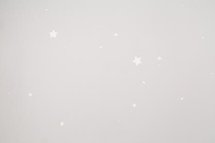 Обои 72162-42НС Мечта производства Палитра - фото