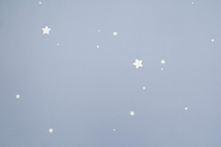 Обои 72162-46НС Мечта производства Палитра - фото