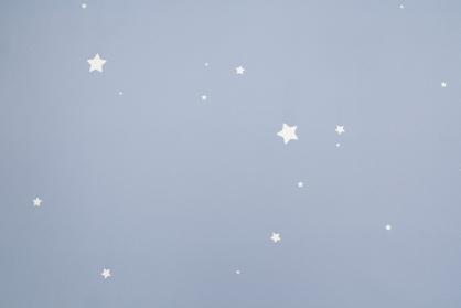 Обои 72162-46НС Мечта производства Палитра - фото