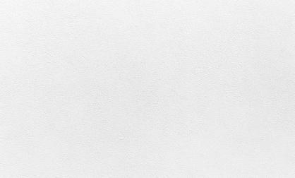 Обои 287251 Tempo производства Ateliero - фото