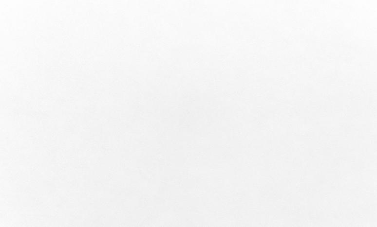 Обои 287251 Tempo производства Ateliero - фото