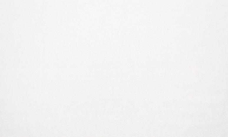 Обои 287821 Panorama производства Ateliero - фото