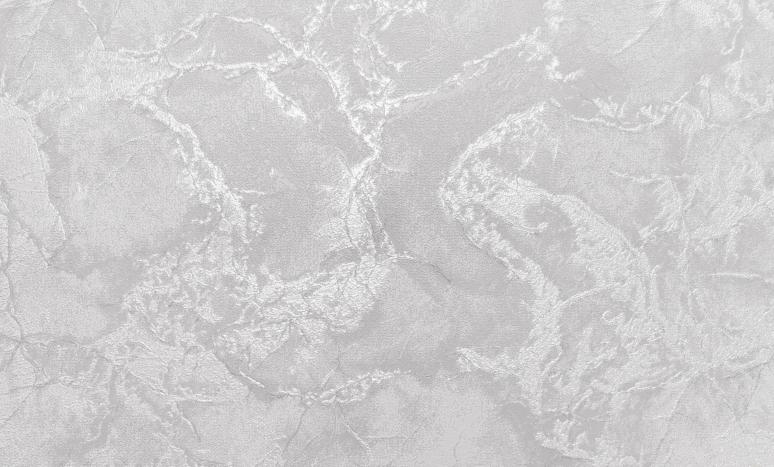 Обои 1075-06 Росси производства Renowa - фото