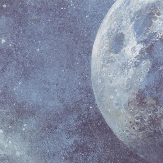 Обои 72367-64НС Вселенная производства Палитра - фото