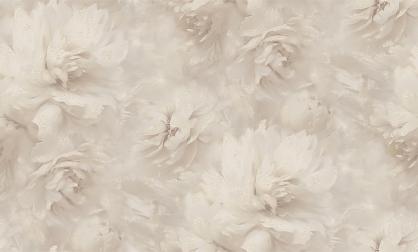 Обои 588692 Белла производства Ateliero - фото