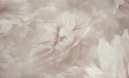 Обои 588696 Белла производства Ateliero - фото