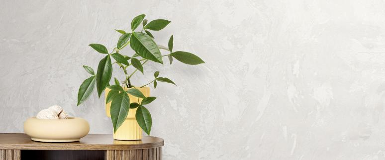 Обои 89042 Аргумент производства Rose - фото