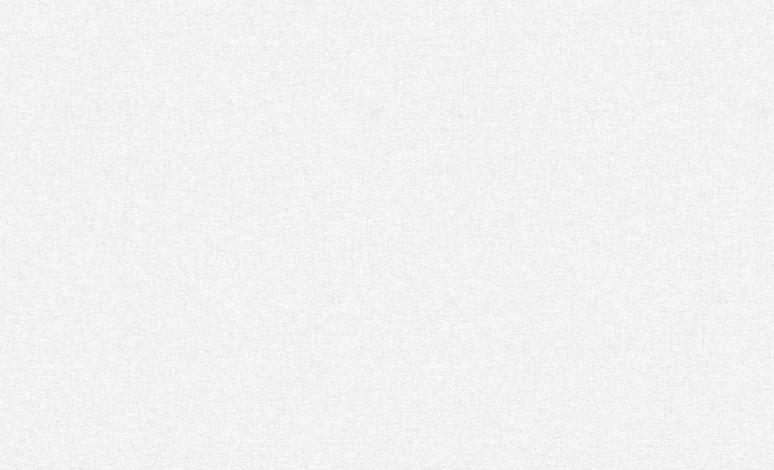 Обои 60989-02 Сканди производства Erismann - фото