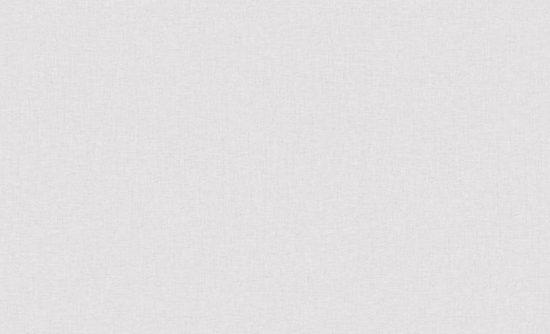 Обои 60989-04 Сканди производства Erismann - фото