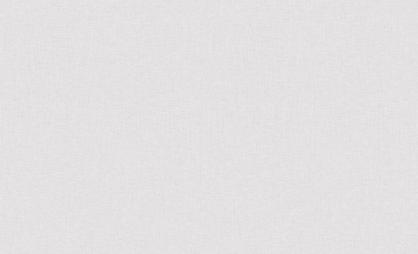 Обои 60989-04 Сканди производства Erismann - фото