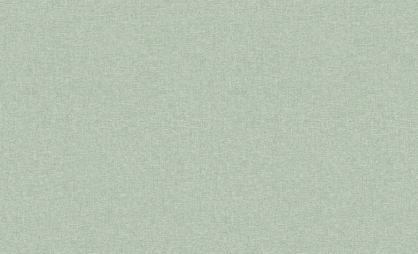 Обои 60989-08 Сканди производства Erismann - фото