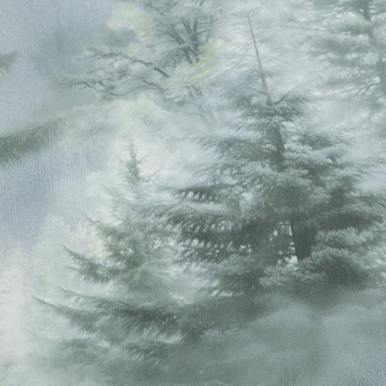 Обои 72551-71НС Ультрахром 3 производства Палитра - фото