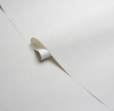 Обои 585111 Магнолия производства Victoria Stenova - фото