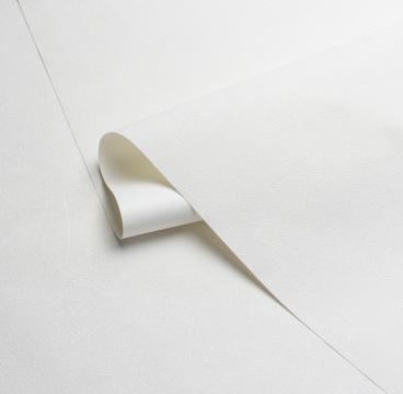 Обои 585112 Магнолия производства Victoria Stenova - фото