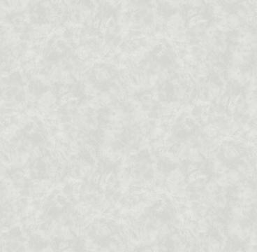 Обои 585343 Пион производства Victoria Stenova - фото