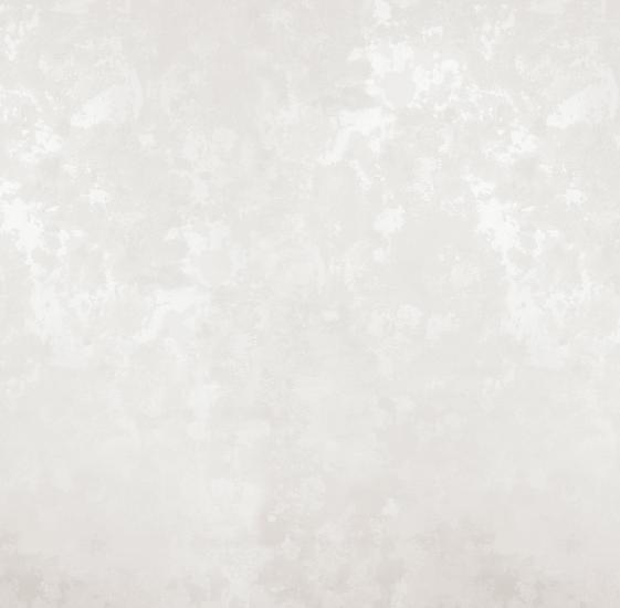 Обои 89260 Перламутр производства OSTIMA - фото