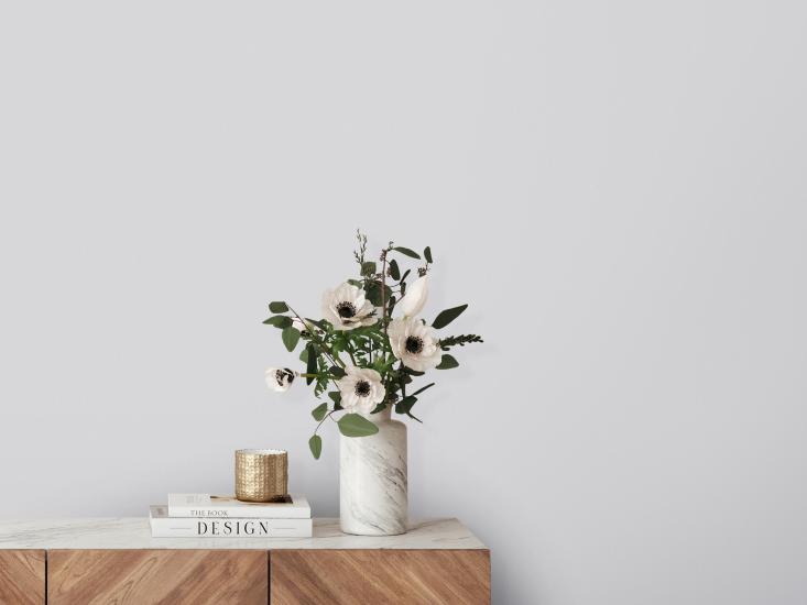 Обои 585387 Милана производства Avisto - фото