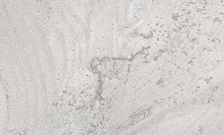 Обои 585650 Наполеон производства Ateliero - фото