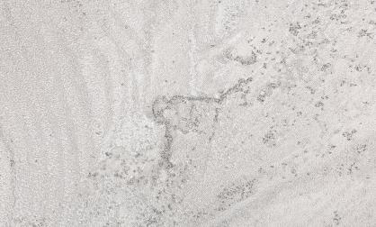 Обои 585650 Наполеон производства Ateliero - фото