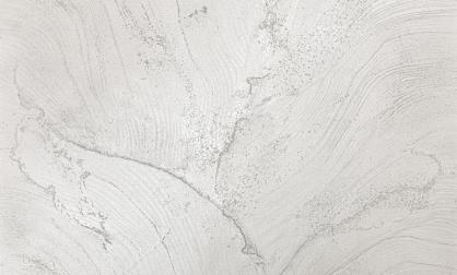 Обои 585650 Наполеон производства Ateliero - фото