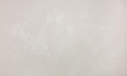 Обои 585661 Наполеон производства Ateliero - фото