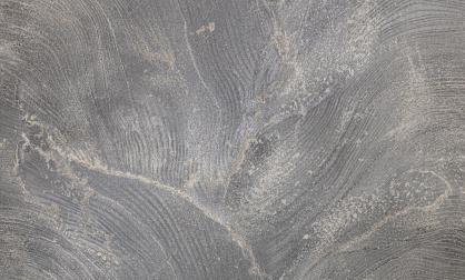 Обои 585659 Наполеон производства Ateliero - фото