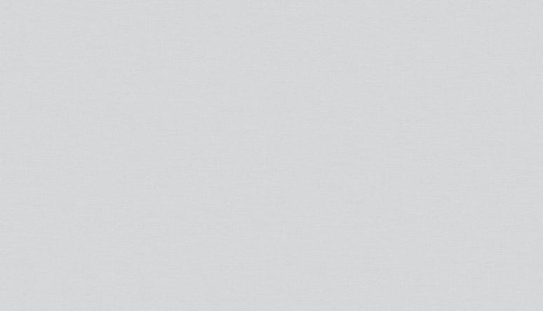 Обои 61053-03 Визави производства Erismann - фото