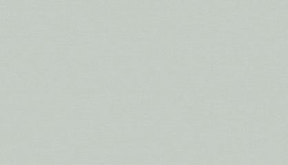 Обои 61053-05 Визави производства Erismann - фото