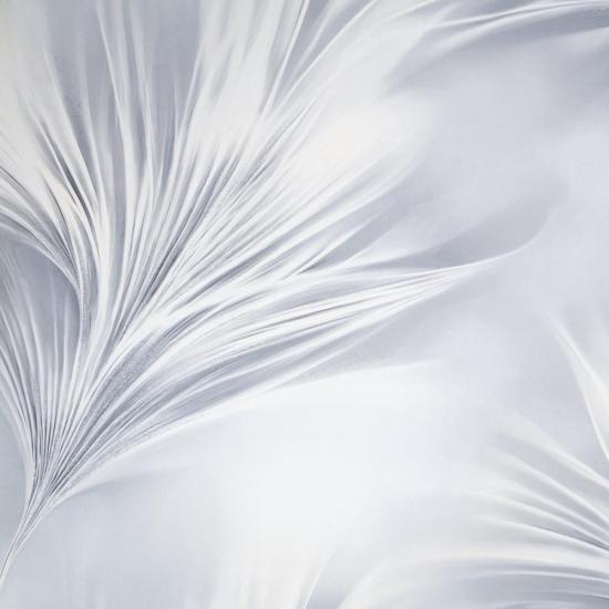 Обои 72483-41SL Счастье производства Палитра - фото