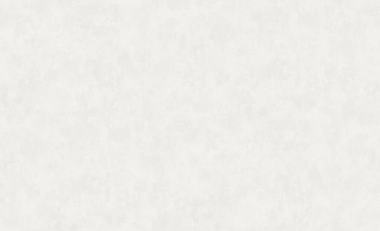 Обои 61014-02 Вихрь производства Erismann - фото