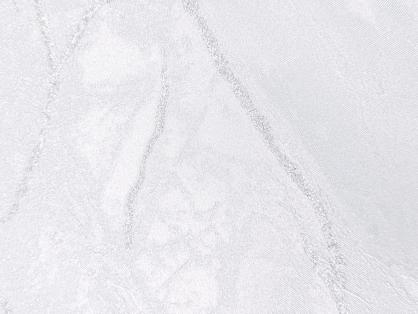 Обои 61069-02 Ладога производства Erismann - фото