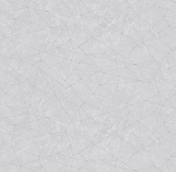 Обои 587387 Реформа производства Victoria Stenova - фото